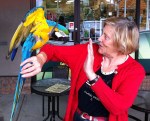 Nelson, the blue tailed Australian macaw drops by for a chat