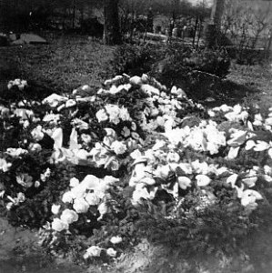 Ingrid's grave