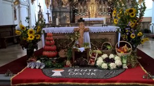 wp_20161006_15_47_39_pro