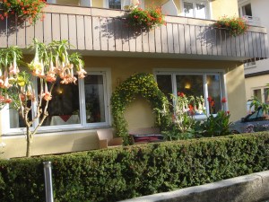 Hotel Cebulj Oct. 2016